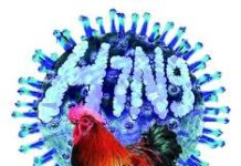 NHỮNG NGUY CƠ MẮC CÚM CHO DÂN SỐ TOÀN CẦU VÀ NHÂN VIÊN Y TẾ