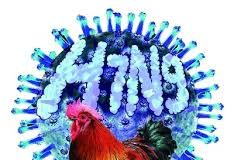 NHỮNG NGUY CƠ MẮC CÚM CHO DÂN SỐ TOÀN CẦU VÀ NHÂN VIÊN Y TẾ