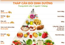 PHƯƠNG PHÁP ĐỂ CÓ ĐƯỢC MỘT CHẾ ĐỘ ĂN CÂN ĐỐI