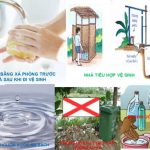 Bệnh tiêu chảy cấp tiêu chảy cấp