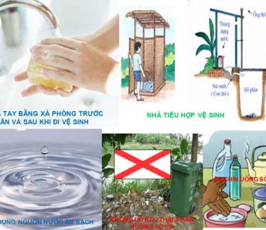 Bệnh tiêu chảy cấp tiêu chảy cấp