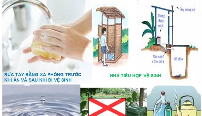 Bệnh tiêu chảy cấp tiêu chảy cấp