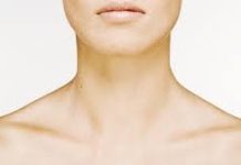 Giải phẫu và cách phối hợp động tác của xương đòn cơ thể