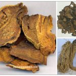 Các bài thuốc tả hạ hay dùng trong y học cổ truyền