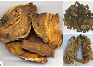 Các bài thuốc tả hạ hay dùng trong y học cổ truyền