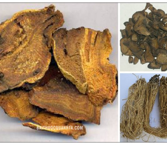 Các bài thuốc tả hạ hay dùng trong y học cổ truyền