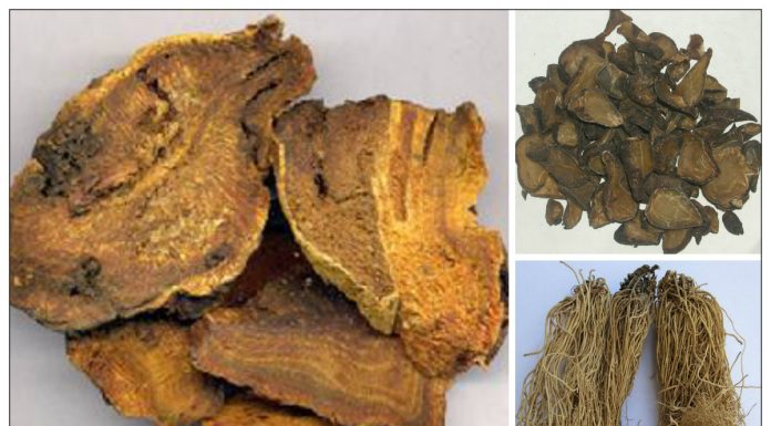 Các bài thuốc tả hạ hay dùng trong y học cổ truyền