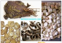 Các bài thuốc hành khí và giáng khí trong y học cổ truyền