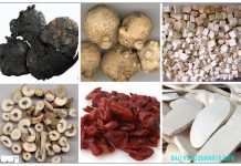 Các bài thuốc bổ âm hay dùng trong y học cổ truyền