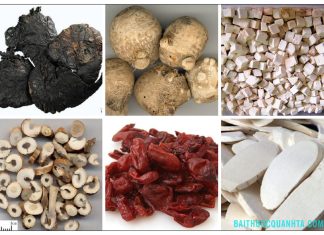 Các bài thuốc bổ âm hay dùng trong y học cổ truyền