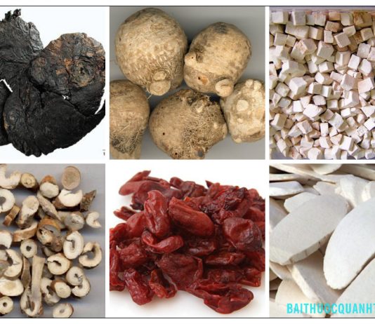 Các bài thuốc bổ âm hay dùng trong y học cổ truyền