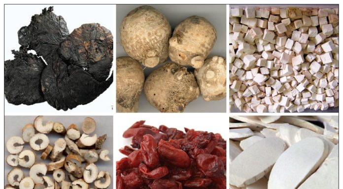 Các bài thuốc bổ âm hay dùng trong y học cổ truyền