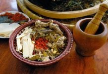 Các bài thuốc phù chính giải biểu trong y học cổ truyền