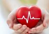 Hoạt động của tim tim