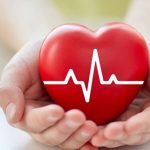 Hoạt động của tim tim