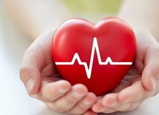 Hoạt động của tim tim