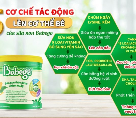 Cơ chế tác động của sữa non Babego