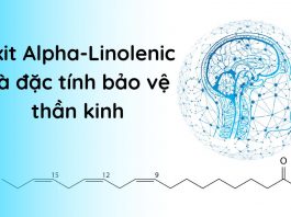 Axit Alpha-Linolenic bảo vệ thần kinh