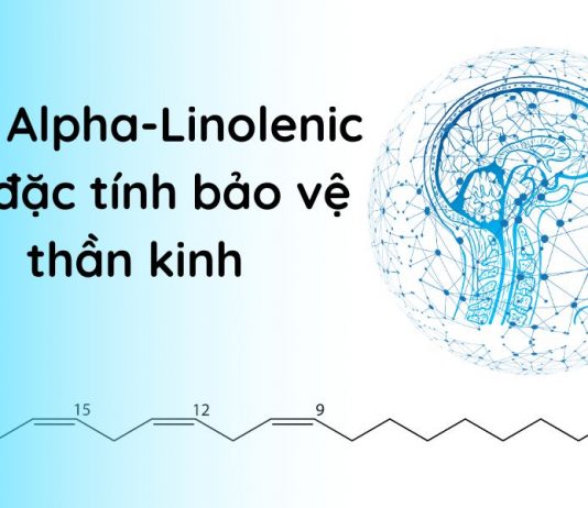 Axit Alpha-Linolenic bảo vệ thần kinh