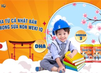Memophenol – Dinh Dưỡng Vàng Chuẩn Khoa Học Cho Não Bộ Weki IQ