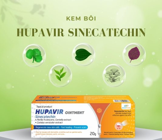 Kem bôi Hupavir Sinecatechin làm sạch da, ngừa sẹo mụn Kem bôi Hupavir Sinecatech