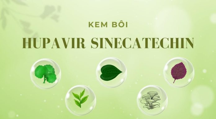Kem bôi Hupavir Sinecatechin làm sạch da, ngừa sẹo mụn Kem bôi Hupavir Sinecatech