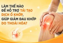 LÀM THẾ NÀO ĐỂ HỖ TRỢ TÁI TẠO DỊCH Ổ KHỚP, LÀM TĂNG TÍNH VẬN ĐỘNG LINH HOẠT CỦA KHỚP, GIÚP GIẢM ĐAU KHỚP DO THOÁI HÓA KHỚP? Làm thế nào để tái tạo dịch ổ khớp, giảm đau do thoái hóa khớp?