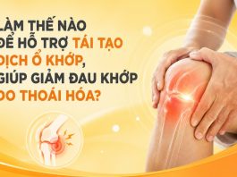 LÀM THẾ NÀO ĐỂ HỖ TRỢ TÁI TẠO DỊCH Ổ KHỚP, LÀM TĂNG TÍNH VẬN ĐỘNG LINH HOẠT CỦA KHỚP, GIÚP GIẢM ĐAU KHỚP DO THOÁI HÓA KHỚP? Làm thế nào để tái tạo dịch ổ khớp, giảm đau do thoái hóa khớp?