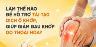 LÀM THẾ NÀO ĐỂ HỖ TRỢ TÁI TẠO DỊCH Ổ KHỚP, LÀM TĂNG TÍNH VẬN ĐỘNG LINH HOẠT CỦA KHỚP, GIÚP GIẢM ĐAU KHỚP DO THOÁI HÓA KHỚP? Làm thế nào để tái tạo dịch ổ khớp, giảm đau do thoái hóa khớp?