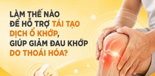 LÀM THẾ NÀO ĐỂ HỖ TRỢ TÁI TẠO DỊCH Ổ KHỚP, LÀM TĂNG TÍNH VẬN ĐỘNG LINH HOẠT CỦA KHỚP, GIÚP GIẢM ĐAU KHỚP DO THOÁI HÓA KHỚP? Làm thế nào để tái tạo dịch ổ khớp, giảm đau do thoái hóa khớp?