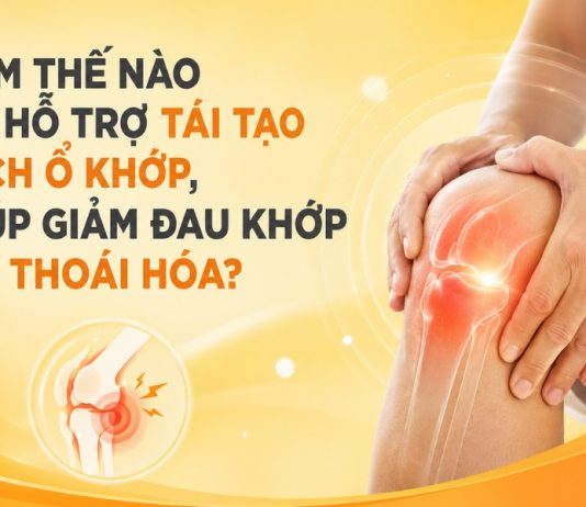 LÀM THẾ NÀO ĐỂ HỖ TRỢ TÁI TẠO DỊCH Ổ KHỚP, LÀM TĂNG TÍNH VẬN ĐỘNG LINH HOẠT CỦA KHỚP, GIÚP GIẢM ĐAU KHỚP DO THOÁI HÓA KHỚP? Làm thế nào để tái tạo dịch ổ khớp, giảm đau do thoái hóa khớp?